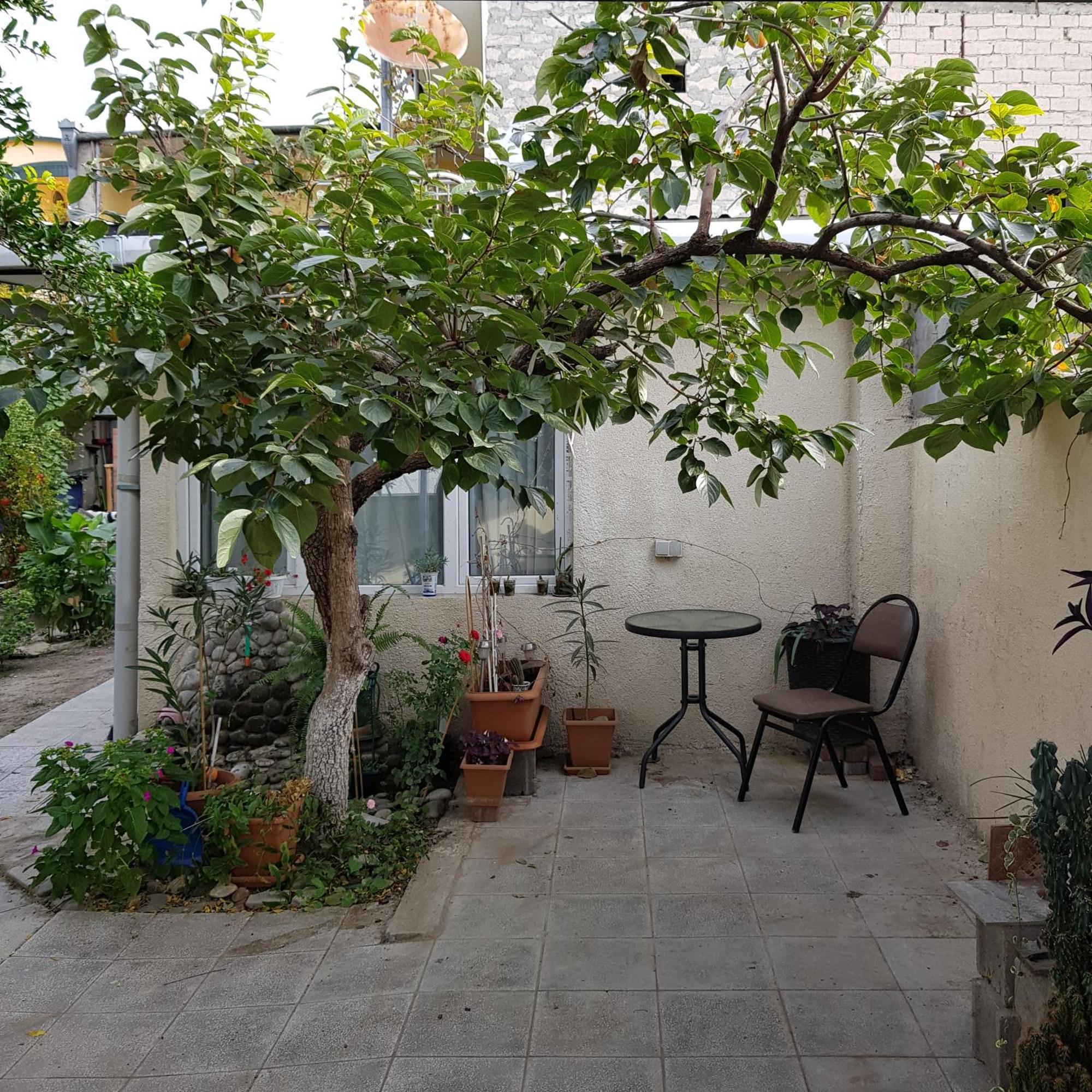 Домик У Куры Hotel Tbilisi Exterior photo